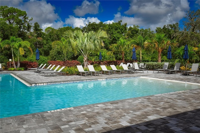 view of pool featuring a patio