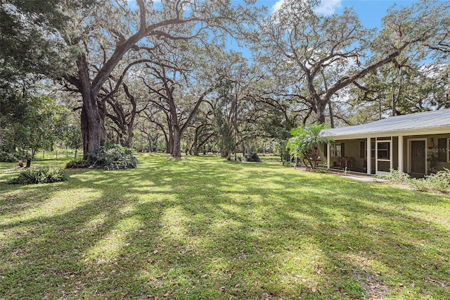 view of yard