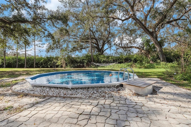 view of pool featuring a patio