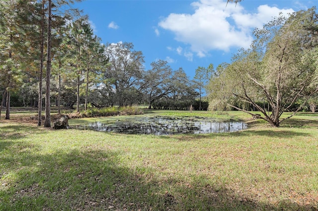 view of yard featuring a water view