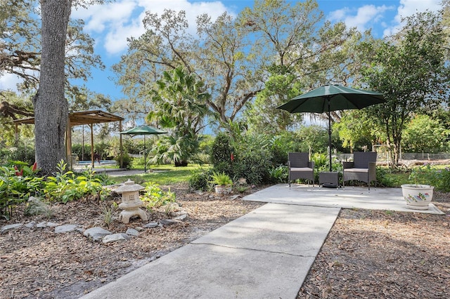 view of yard featuring a patio area