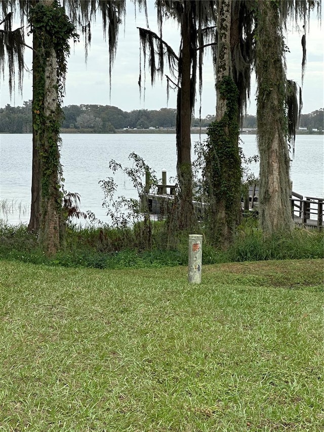 918 Pritchard Island Dr, Inverness, FL 34450 - photo 11