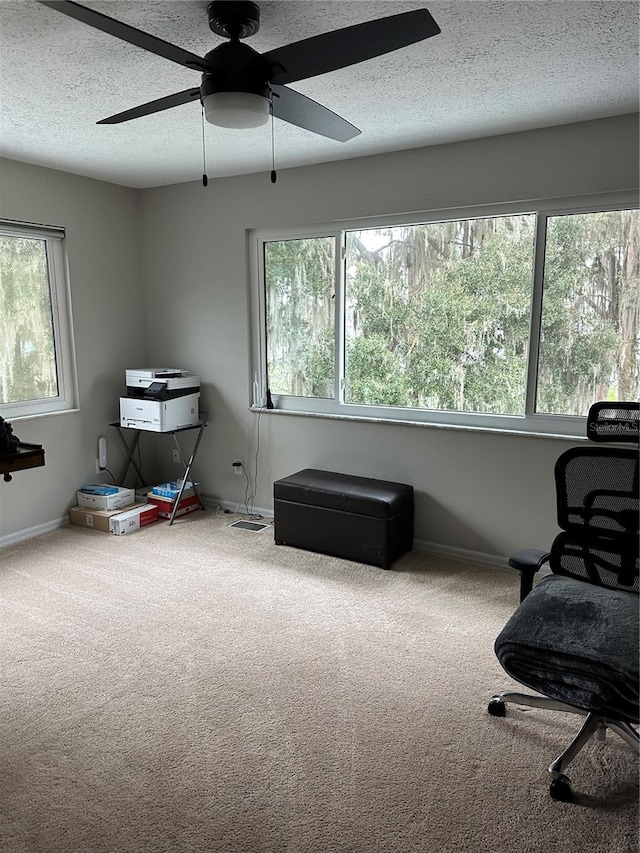 sitting room with carpet and a textured ceiling