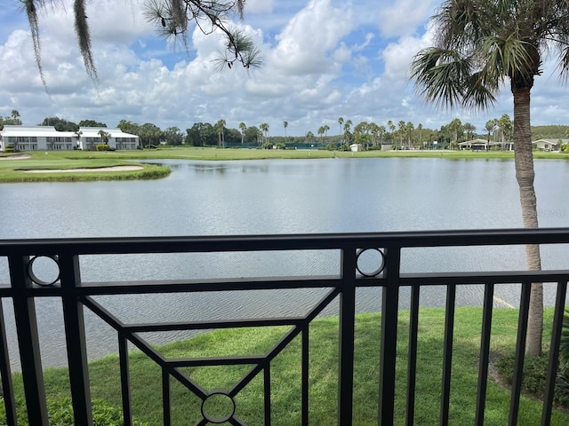 29254 Bay Hollow Dr Unit 3262, Wesley Chapel, FL 33543 - water view
