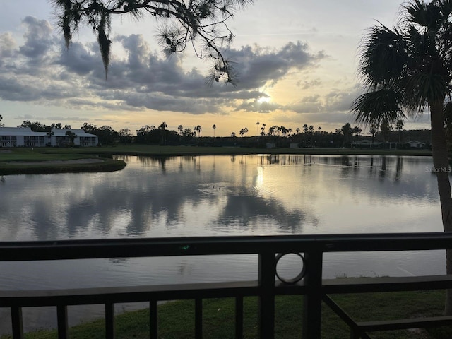29254 Bay Hollow Dr Unit 3262, Wesley Chapel, FL 33543 - water view