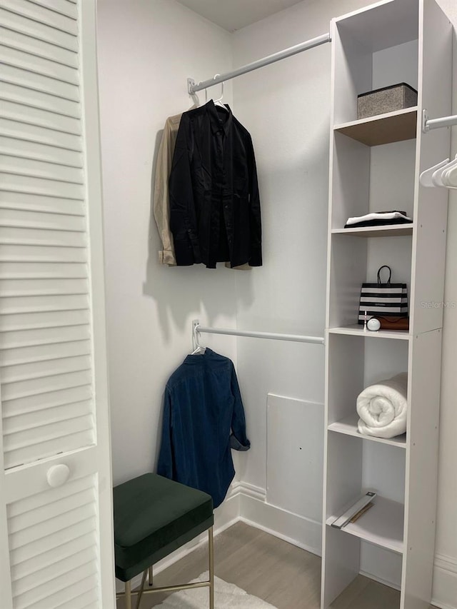 29254 Bay Hollow Dr Unit 3262, Wesley Chapel, FL 33543 - spacious closet featuring wood finished floors