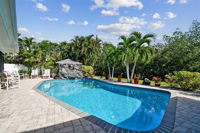 view of swimming pool featuring a patio