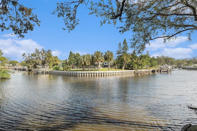 property view of water