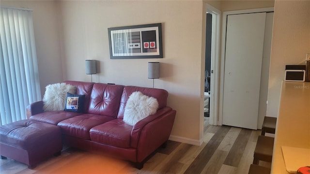 living room with hardwood / wood-style floors