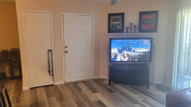 foyer with wood-type flooring