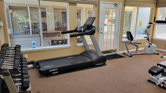 exercise area featuring carpet flooring