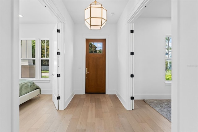 foyer featuring light hardwood / wood-style floors and plenty of natural light