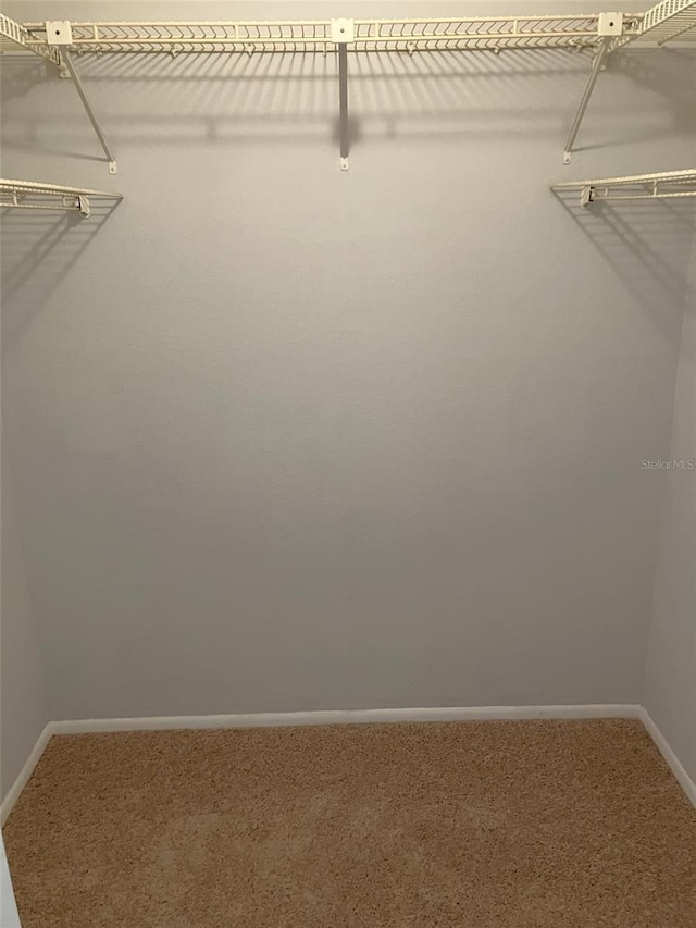 spacious closet with carpet