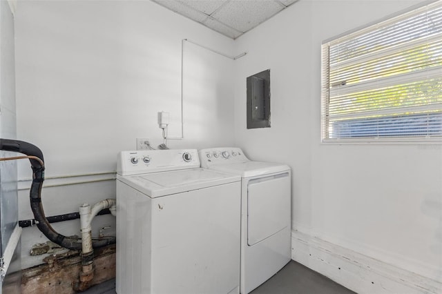 clothes washing area featuring washer and clothes dryer and electric panel