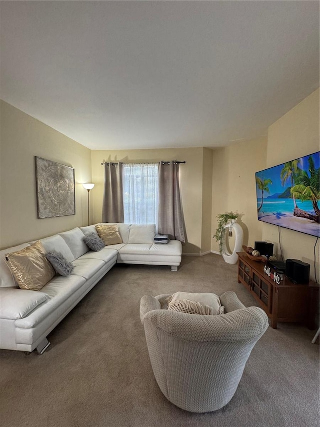 living room featuring carpet