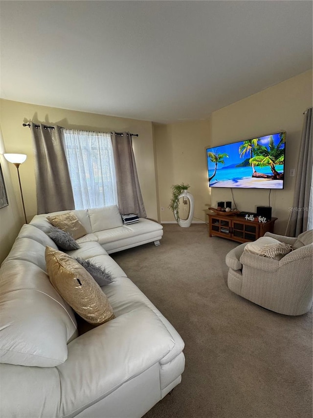 living room featuring carpet floors