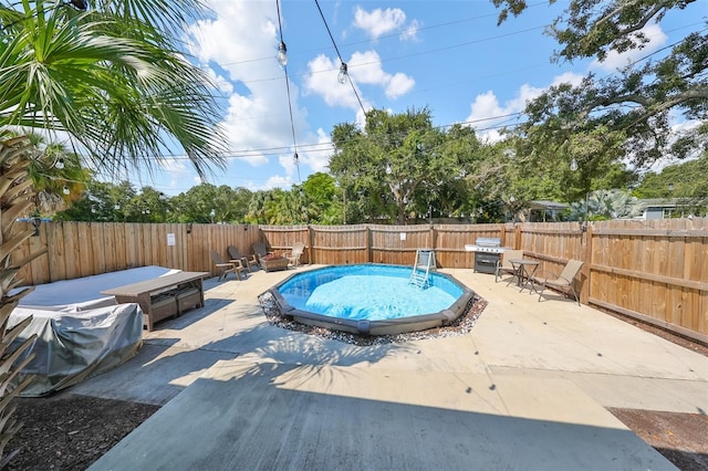 view of swimming pool with a patio area