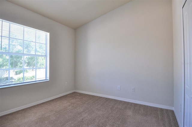 spare room featuring carpet