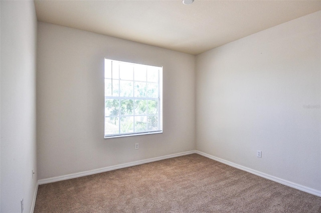 unfurnished room with carpet