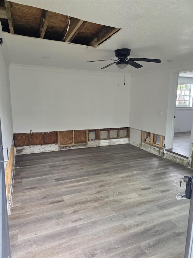 301 W Chelsea St, Tampa, FL 33603 - photo 15