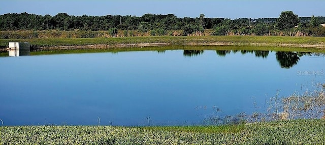 view of water feature