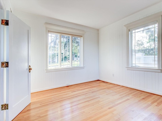 empty room featuring a wealth of natural light and light hardwood / wood-style flooring