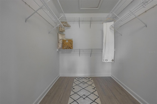 walk in closet featuring wood-type flooring