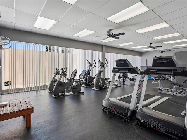 gym with ceiling fan and a drop ceiling