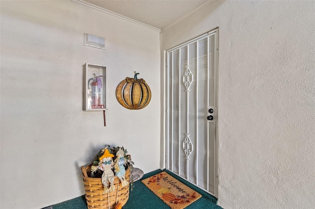 3970 37th St S Unit 14, Saint Petersburg, FL 33711 - photo 2