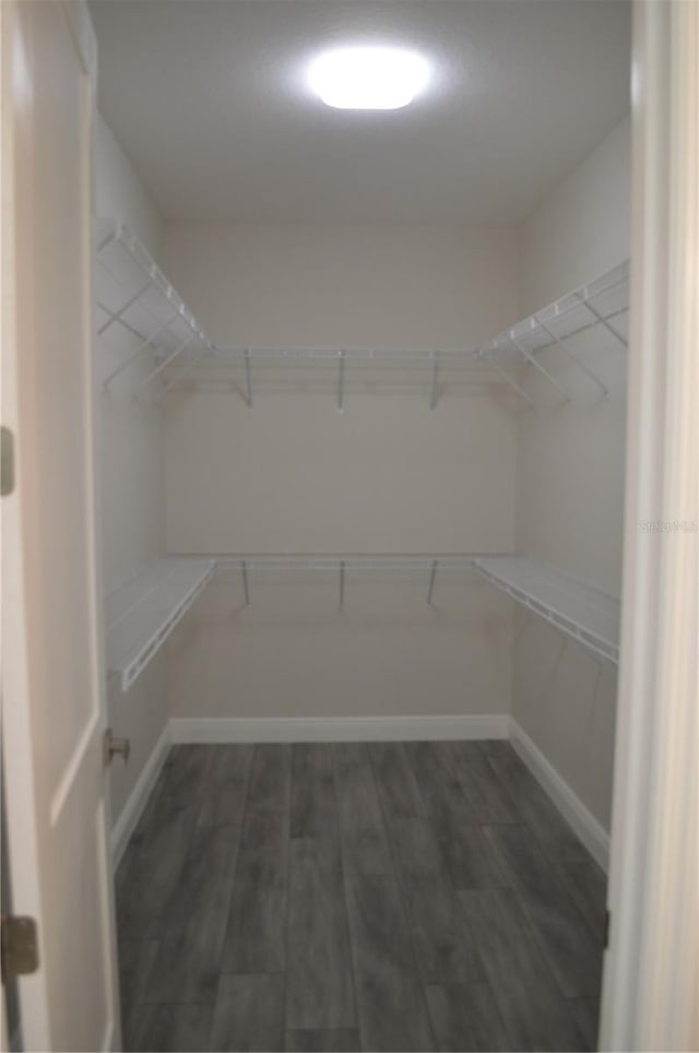 3915 W Robson St, Tampa, FL 33614 - photo 26