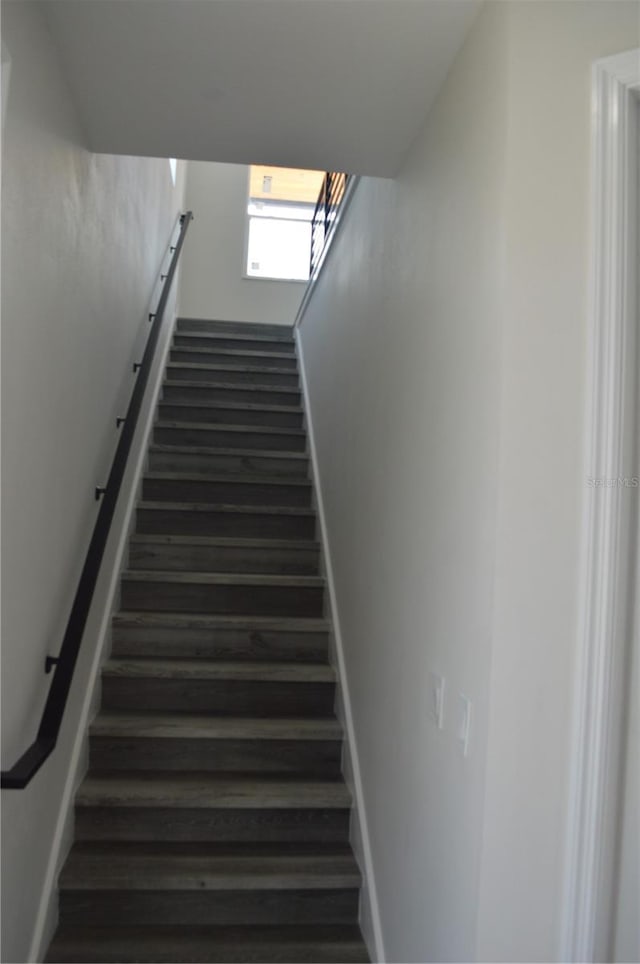 3915 W Robson St, Tampa, FL 33614 - photo 30