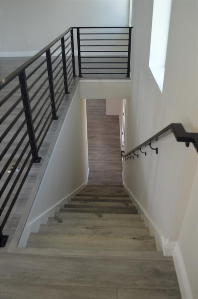 3915 W Robson St, Tampa, FL 33614 - photo 31