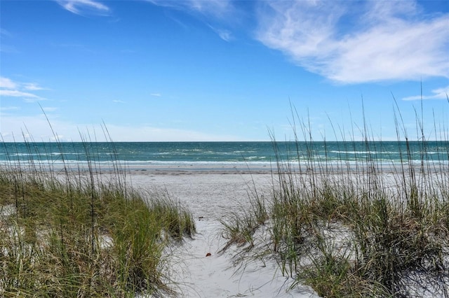 water view featuring a beach view