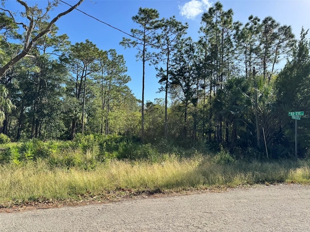 7897 W Stuart Ln, Homosassa FL, 34448 land for sale