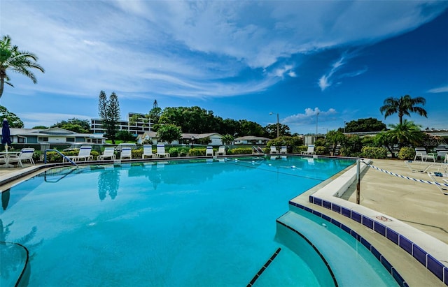 view of swimming pool