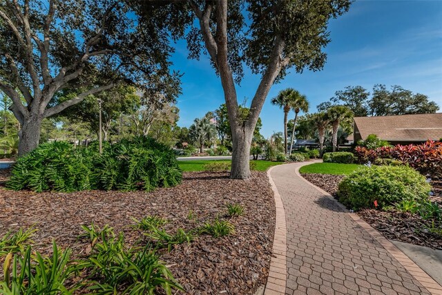 2739 Sherbrooke Ln Unit B, Palm Harbor, FL 34684 - photo 45