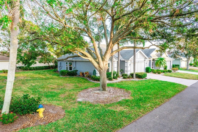 view of front of property featuring a front yard