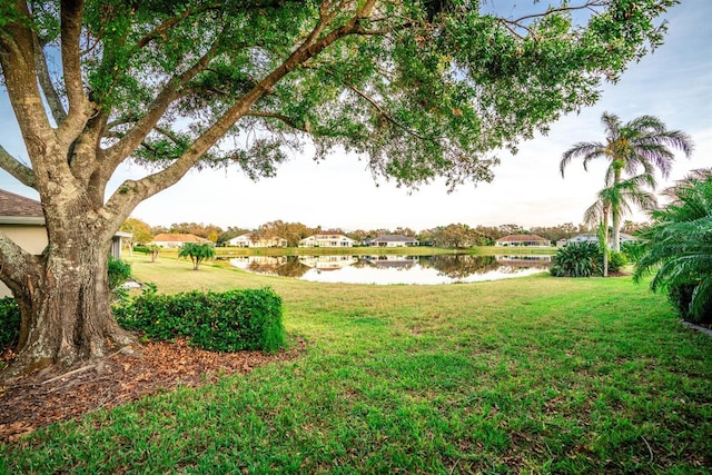 view of yard with a water view