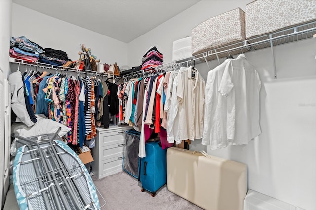 spacious closet with light carpet