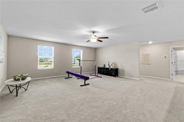 8968 Parsons Hill Blvd, Wesley Chapel, FL 33545 - workout room featuring a ceiling fan, baseboards, and carpet floors
