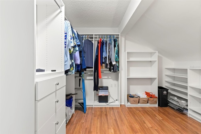 spacious closet featuring hardwood / wood-style floors