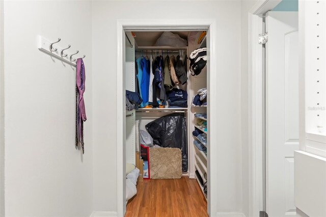 walk in closet featuring wood-type flooring