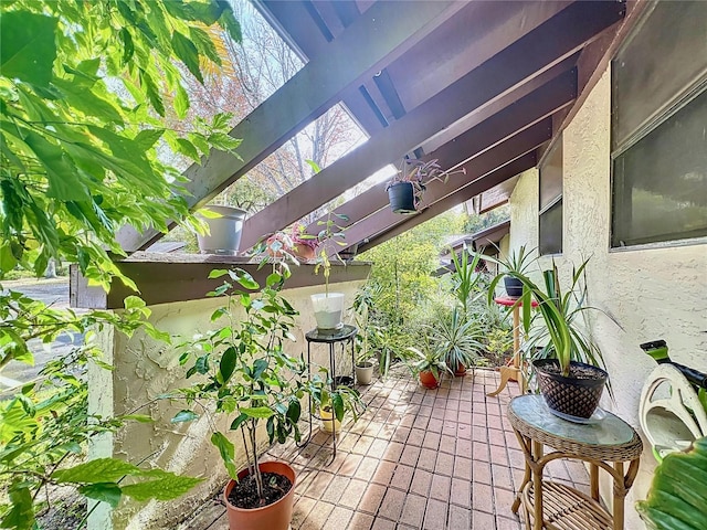 2920 Star Apple Ct, Palm Harbor, FL 34684 - balcony with a patio and a pergola