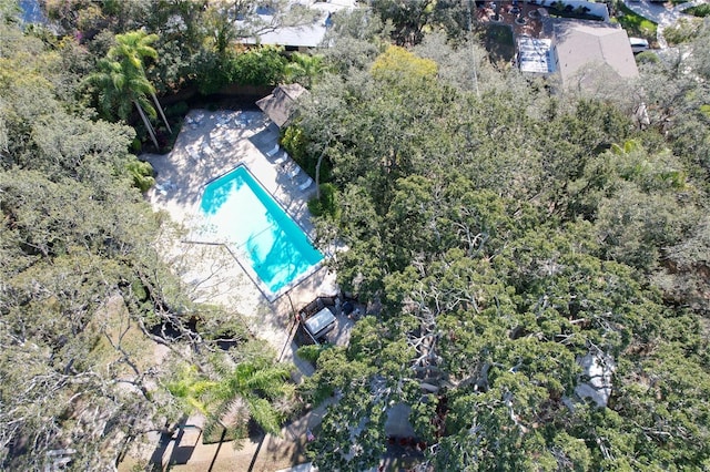 2920 Star Apple Ct, Palm Harbor, FL 34684 - view of property location with a pool area