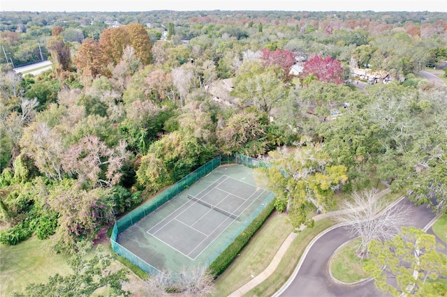 2920 Star Apple Ct, Palm Harbor, FL 34684 - drone / aerial view of a forest