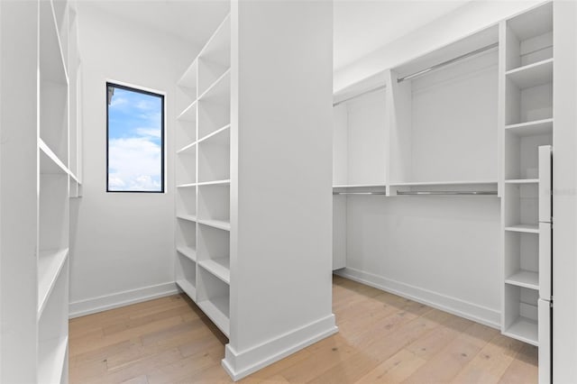 spacious closet with light hardwood / wood-style flooring