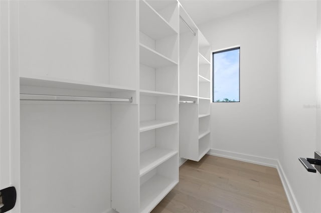 spacious closet featuring light wood-type flooring