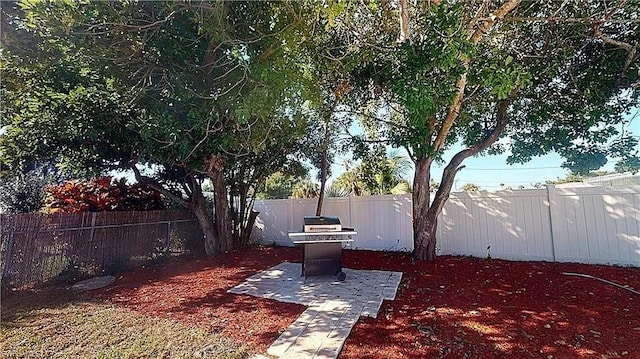 view of yard with a patio area