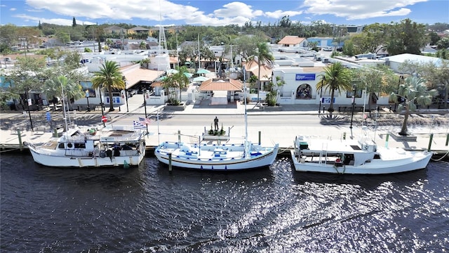 aerial view with a water view