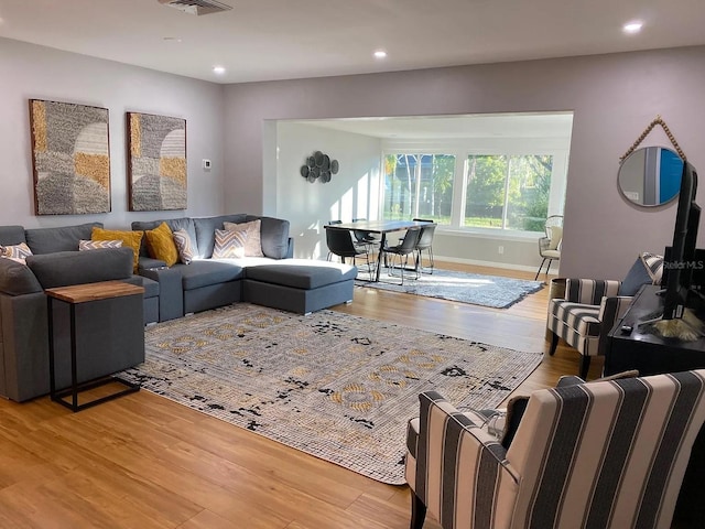 living room featuring wood-type flooring